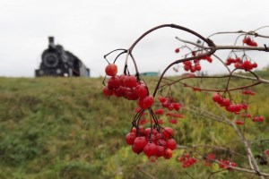 Меморіал пам'яті Героїв Крут